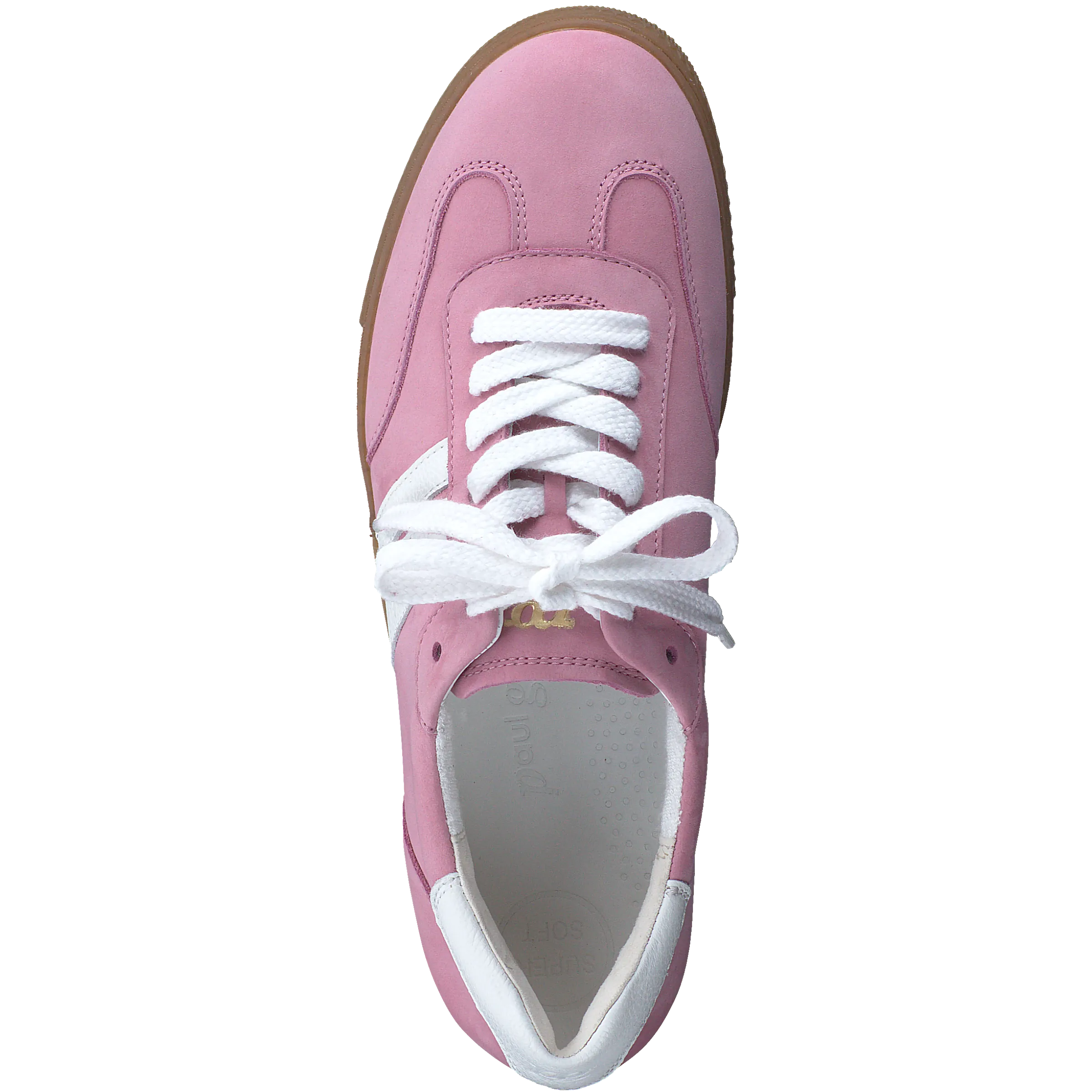 Paul Green 5350025- Trainer